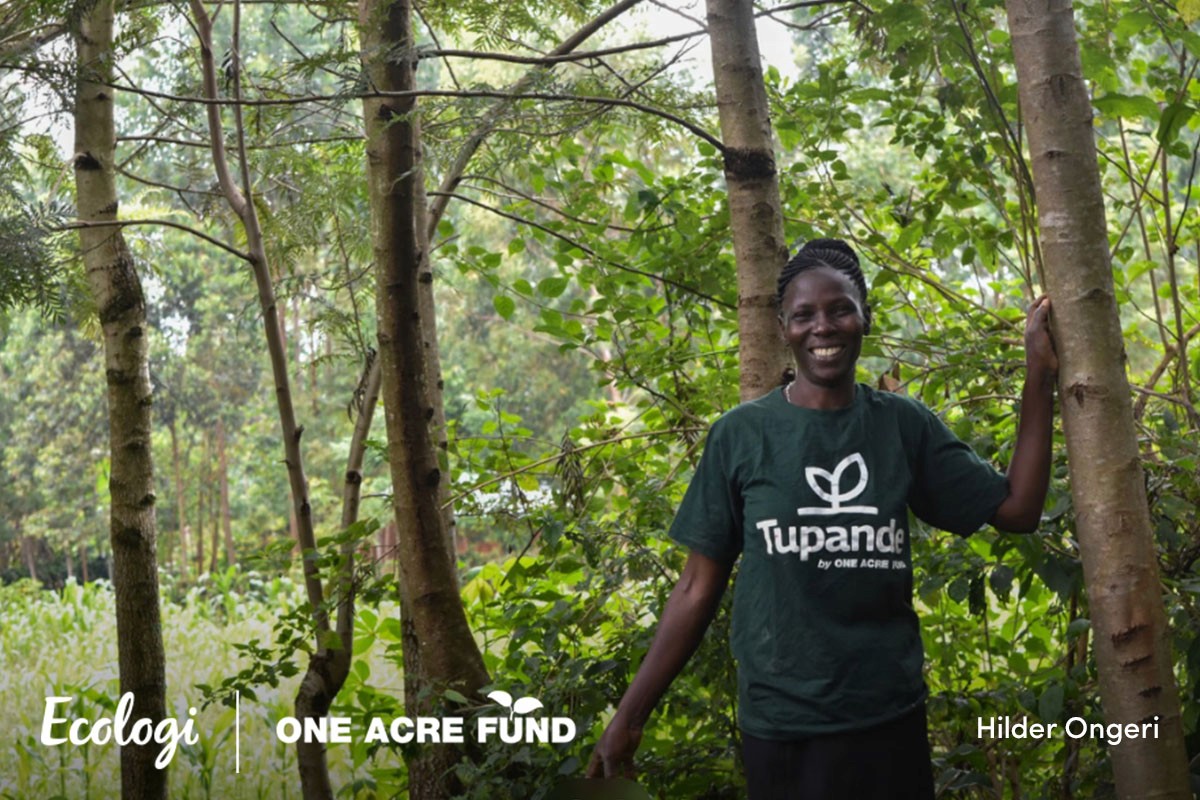 A farmer in the One Acre Fund agroforestry programme standing among her trees in Kenya
