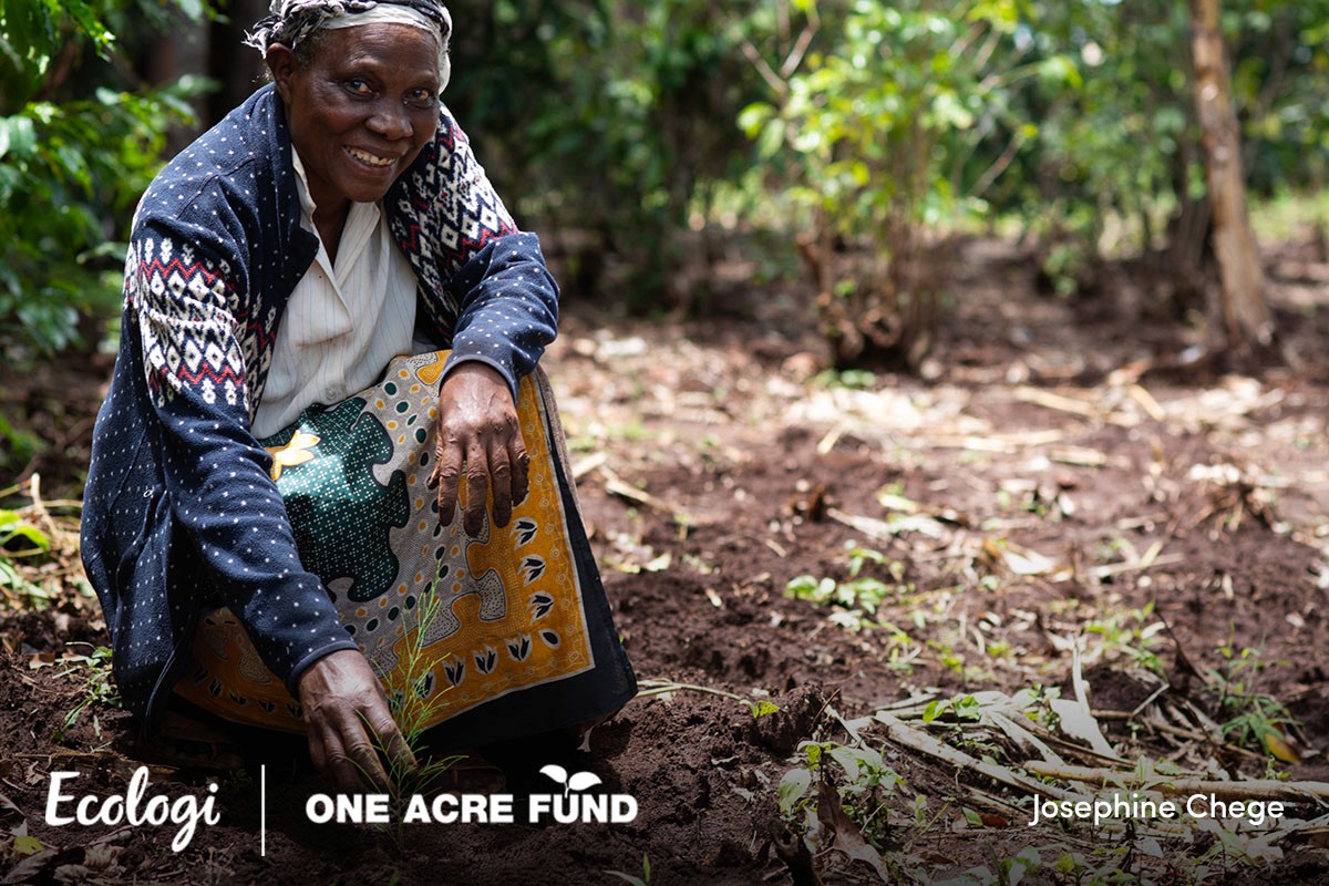 A farmer in Kenya planting a tree seedling in her field