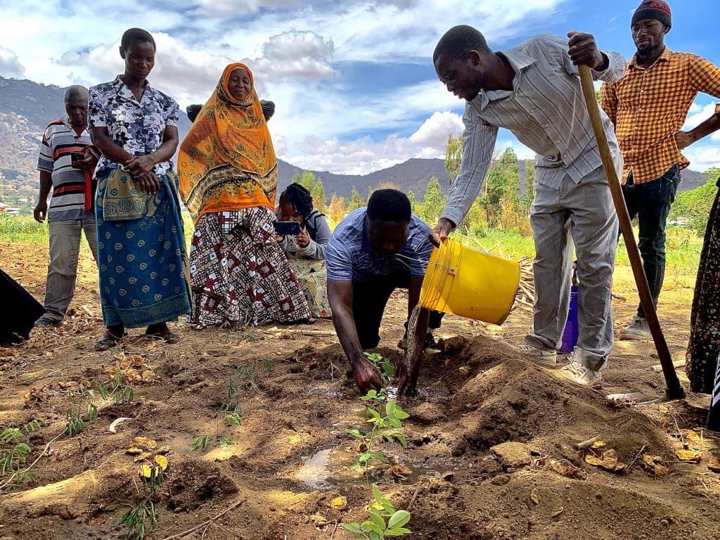 A Trees for the Future forest garden project