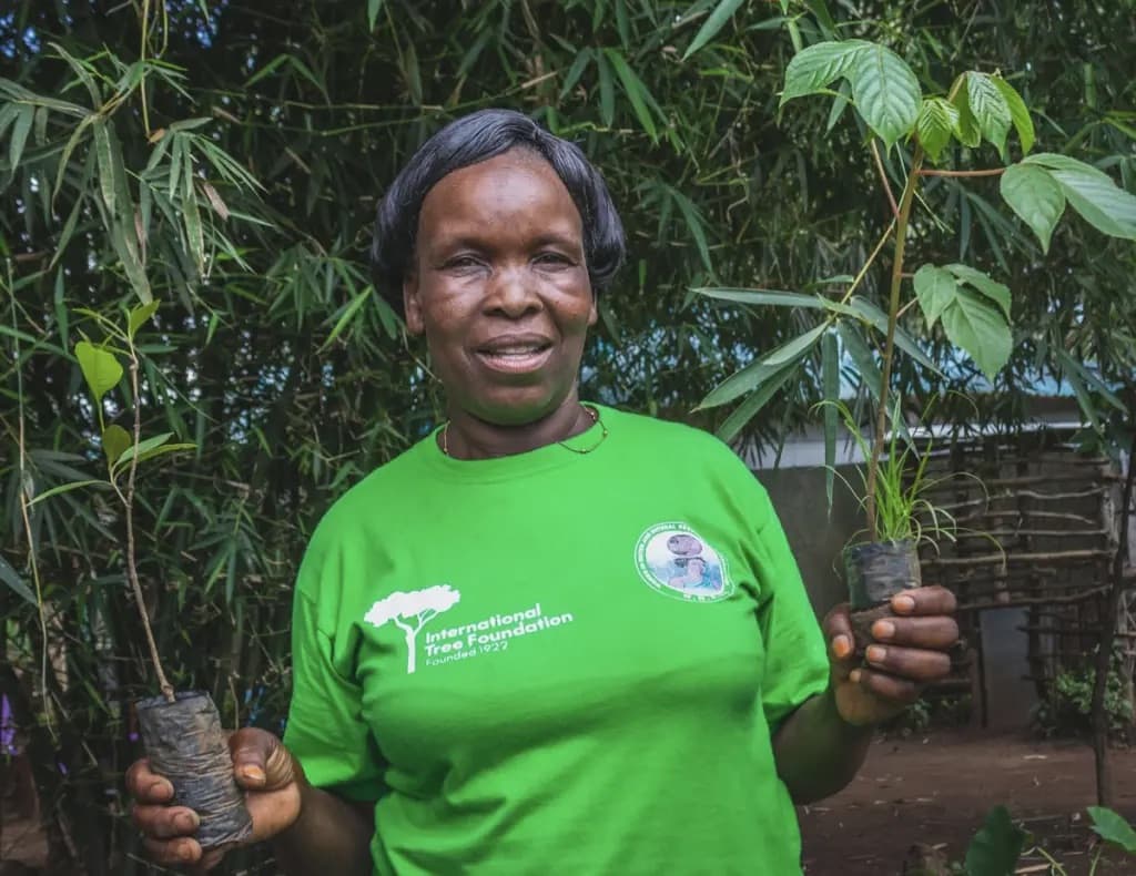 The Dundori Forest restoration project in Kenya