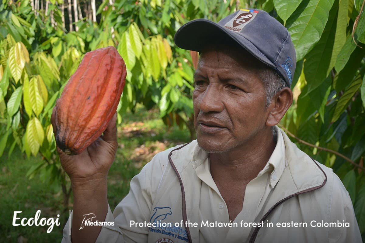 The Matavén forest protection project in eastern Colombia