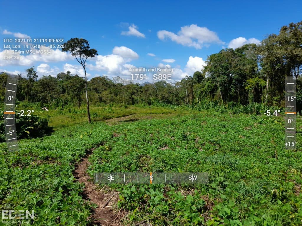 The reforestation project in the Bosawas Biosphere Reserve, Nicaragua