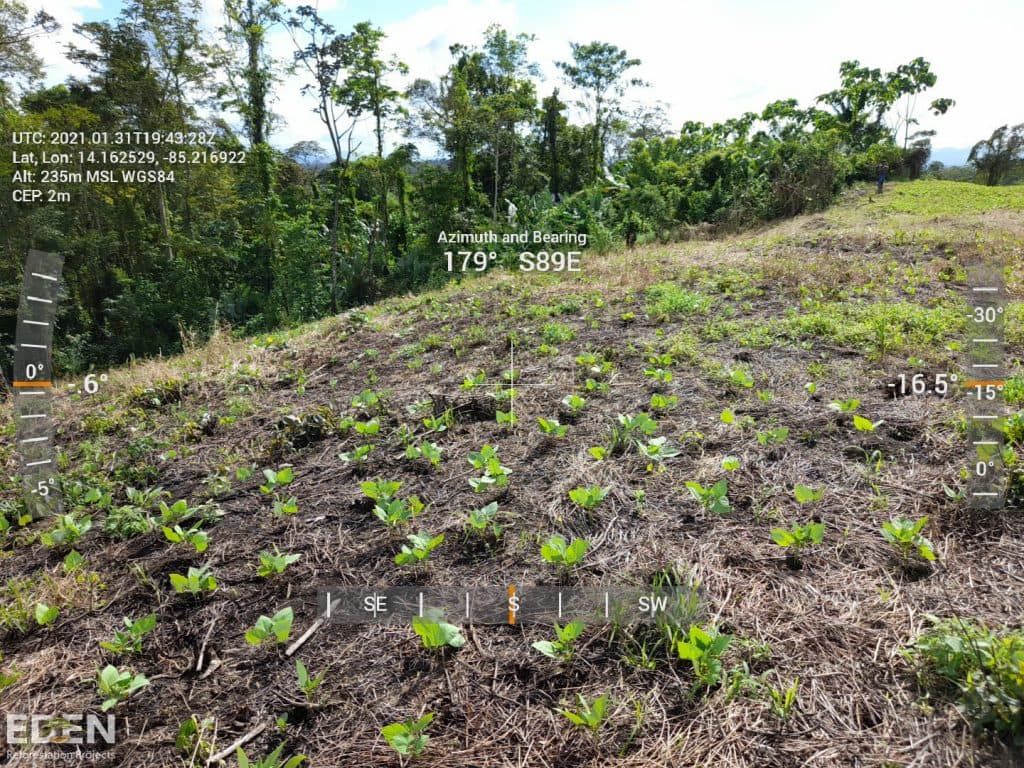 The reforestation project in the Bosawas Biosphere Reserve, Nicaragua
