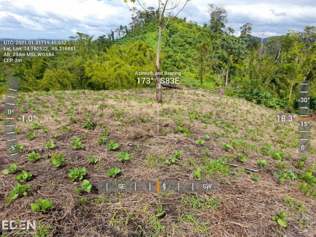 The reforestation project in the Bosawas Biosphere Reserve, Nicaragua