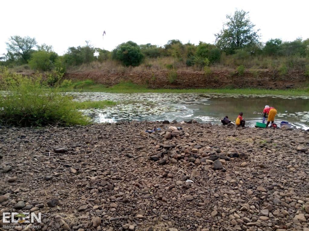 The reforestation project at Changalane, Mozambique