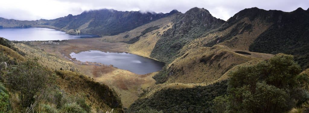 Forest restoration in the Andes of Ecuador