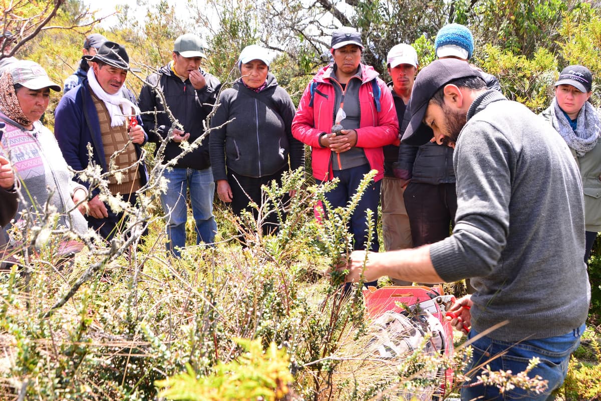 Andean berry growing workshop in Yanahurco, Ecuador