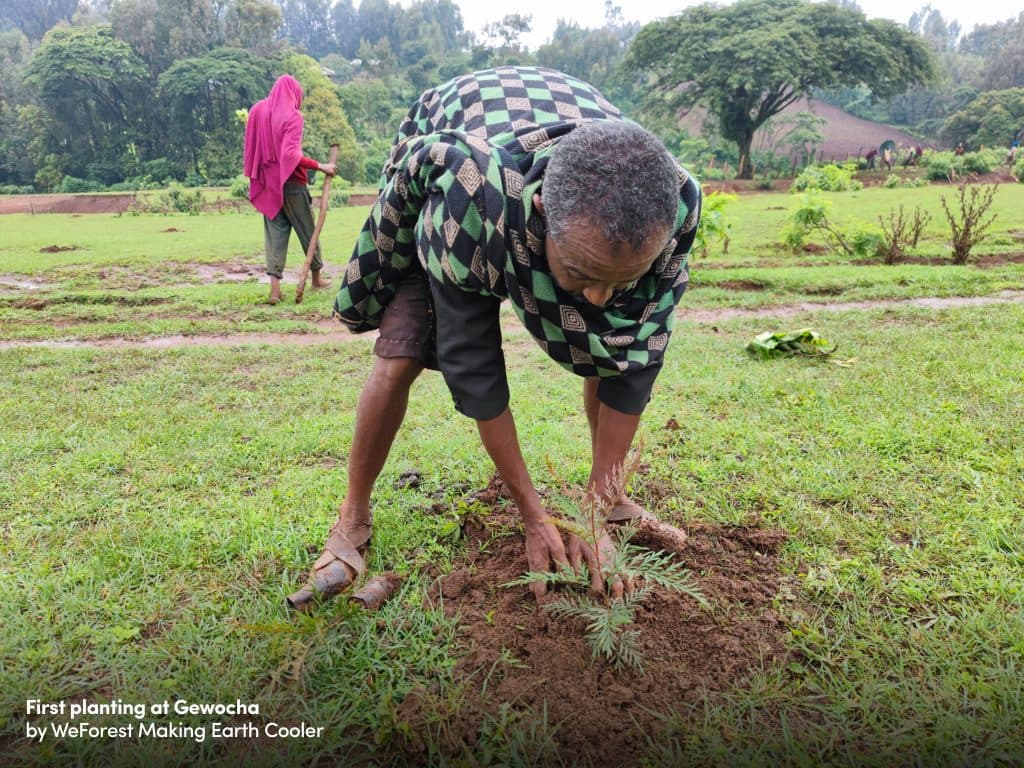 The Gewocha Forest project in Ethiopia