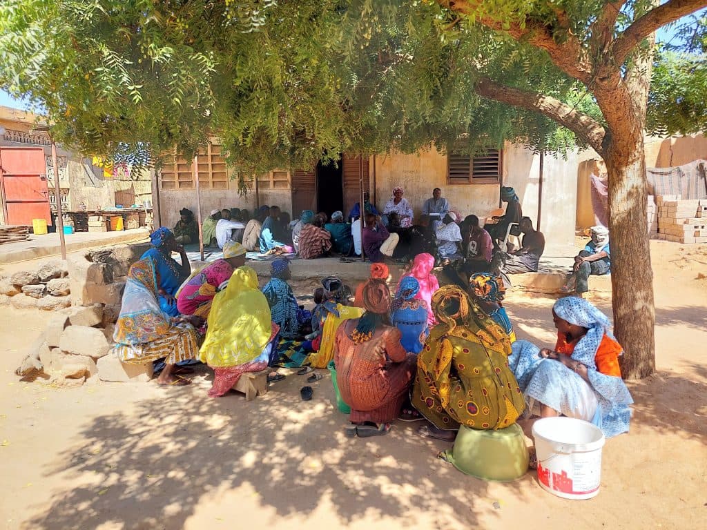 The land restoration project in Senegal
