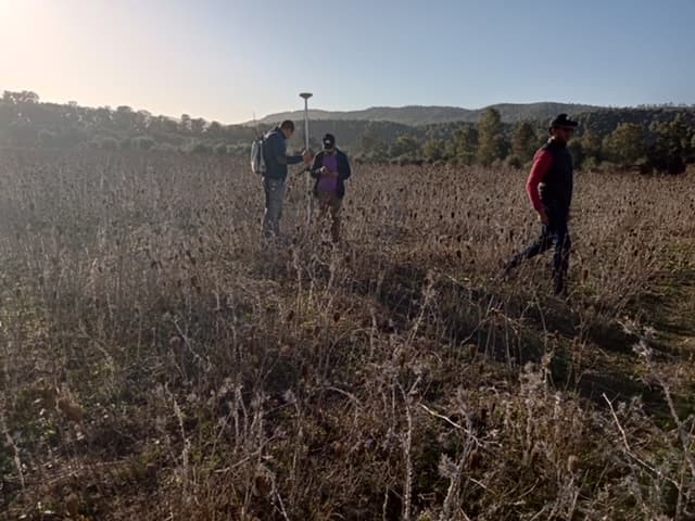 The native fruit tree project in Morocco