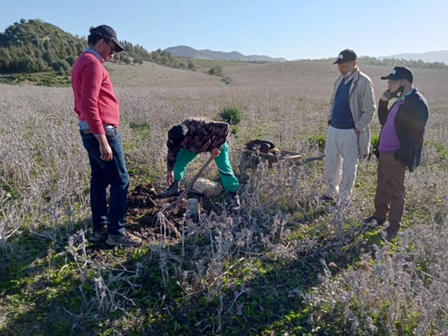 The native fruit tree project in Morocco